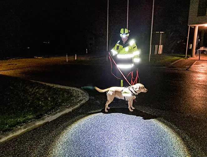 Einsatz: Labrador Cookie wartet, dass die Suche los geht.