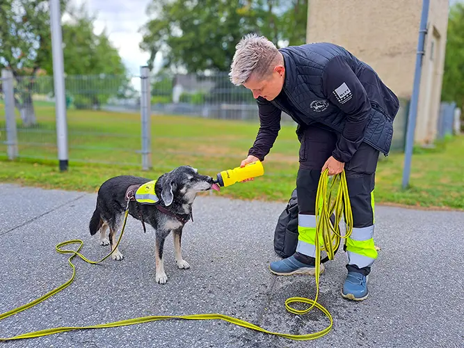 Einsatz mit Beagle-Labrador-Mix-Mädchen Jessy: Trinkpause - so viel Zeit muss sein.