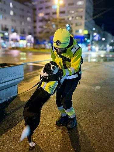 Positives Ende eines Einsatzes: Border Collie Nyla freut sich