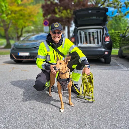 Training: Podenco Andaluz-Mädchen und ihr Hundeführer warten auf ihren Einsatz.