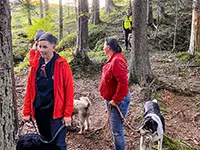 Am Weg zur Schlucht.