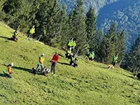 Blick aus dem Cockpit auf die Mensch-Hunde-Teams am Boden.