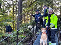 Metallstege sind für die Hunde kein Problem.