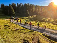 Wunderbare Abendstimmung am Rückweg unserer gemeinsamen Wanderung.