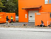 Beagle hat die versteckte Person gefunden.