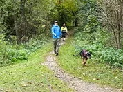 Die Hunde lernen schnell, worum es beim Mantrailing geht.