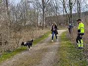 Der Border Collie hat schnell gelernt, worum es beim Mantrailing geht.