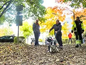 Der Border Collie startet voll motiviert.