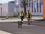 Der Deutsch Drahthaar-Bub macht die Sache schon recht gut.