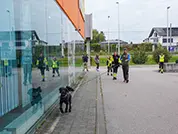 Am zweiten Seminartag weiß der Hund schon ganz genau, wo's lang geht!