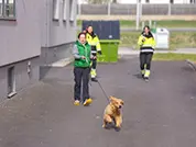 Am zweiten Seminartag weiß der kleine Retriver-Bub schon ganz genau, wo's lang geht!