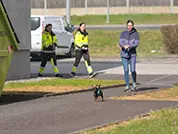 Zwergpinscher-Mädchen konzentriert sich auf die Duftspur.